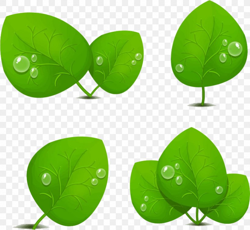 Leaf Green Light Drop, PNG, 867x799px, Leaf, Bubble, Dew, Drop, Grass Download Free