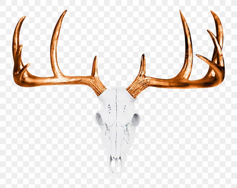 Skull Cartoon, PNG, 1177x938px, Deer, Antler, Craft, Deer Head, Elk Download Free