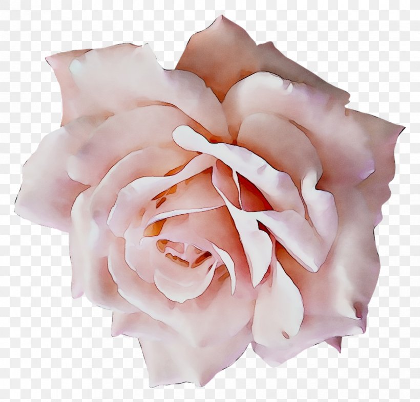Corsage Garden Roses Formal Wear Wedding Clothing Accessories, PNG, 1239x1189px, Corsage, Artificial Flower, Clothing Accessories, Cut Flowers, Dress Download Free