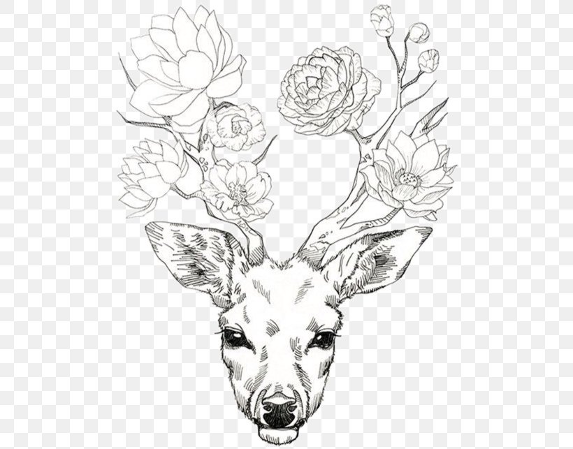 Deer Antler Drawing Flower Elk, PNG, 500x643px, Deer, Antler, Art, Black And White, Drawing Download Free