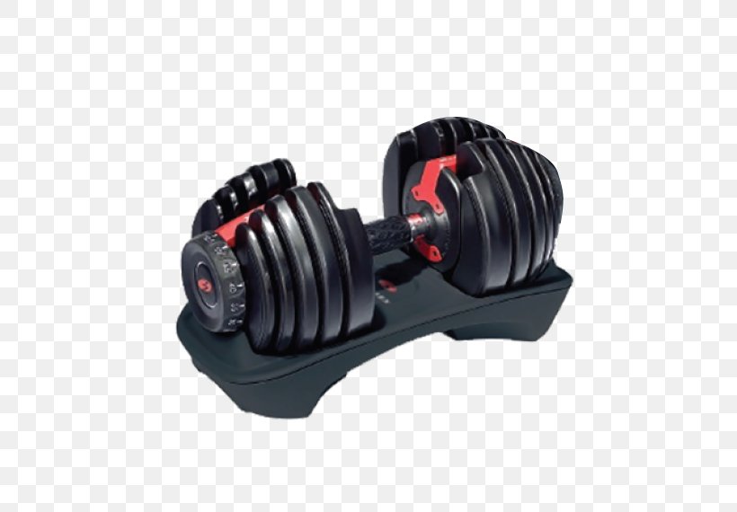 Dumbbell Exercise Bowflex Weight Training Fitness Centre, PNG, 570x570px, Dumbbell, Barbell, Bowflex, Exercise, Exercise Equipment Download Free