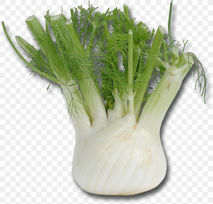 Fennel Mediterranean Cuisine Vegetable Herb Bulb, PNG, 1140x1094px