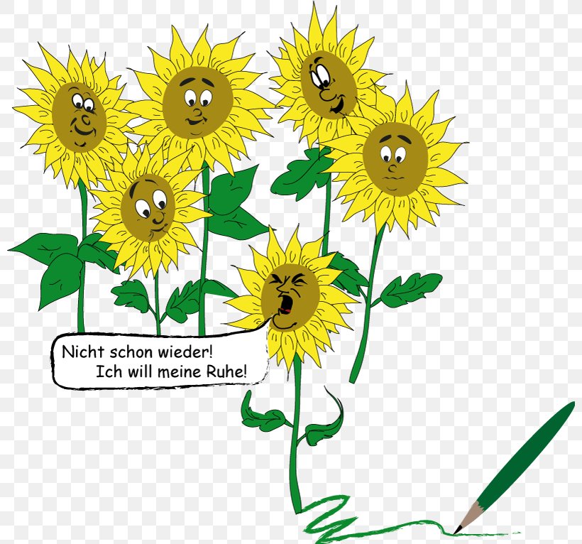 Floral Design Clip Art Sunflower M Illustration Cut Flowers, PNG, 800x766px, Floral Design, Cut Flowers, Daisy Family, Flower, Flowering Plant Download Free