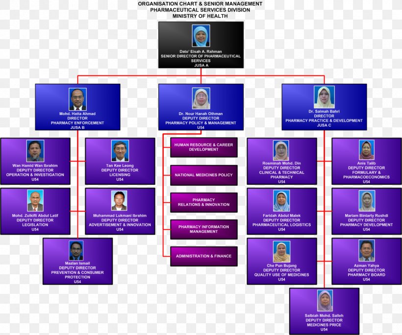 Organizational Chart Organizational Structure Company Management, PNG, 1252x1045px, Organizational Chart, Board Of Directors, Brand, Chart, Company Download Free