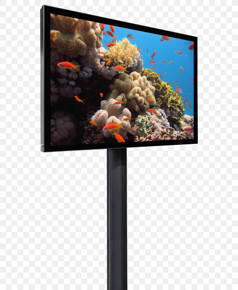Red Sea Governorate Bako National Park Dead Sea, PNG, 625x1000px, Red Sea, Advertising, Aquarium, Dead Sea, Display Device Download Free