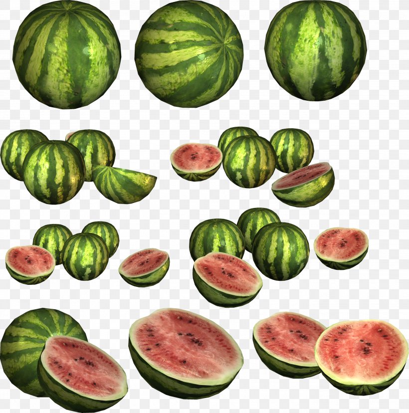 Watermelon Food Citrullus Lanatus, PNG, 2705x2732px, Watermelon, Citrullus, Citrullus Lanatus, Cucumber, Cucumber Gourd And Melon Family Download Free
