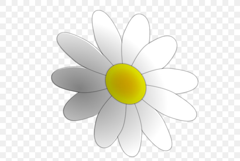 Flower Background, PNG, 555x550px, Giant Panda, Camomile, Chamomile, Daisy, Daisy Family Download Free