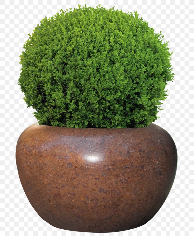 Flowerpot Вазон Shrub Production .cc, PNG, 730x1000px, Flowerpot, Artikel, Concrete, Evergreen, Grass Download Free