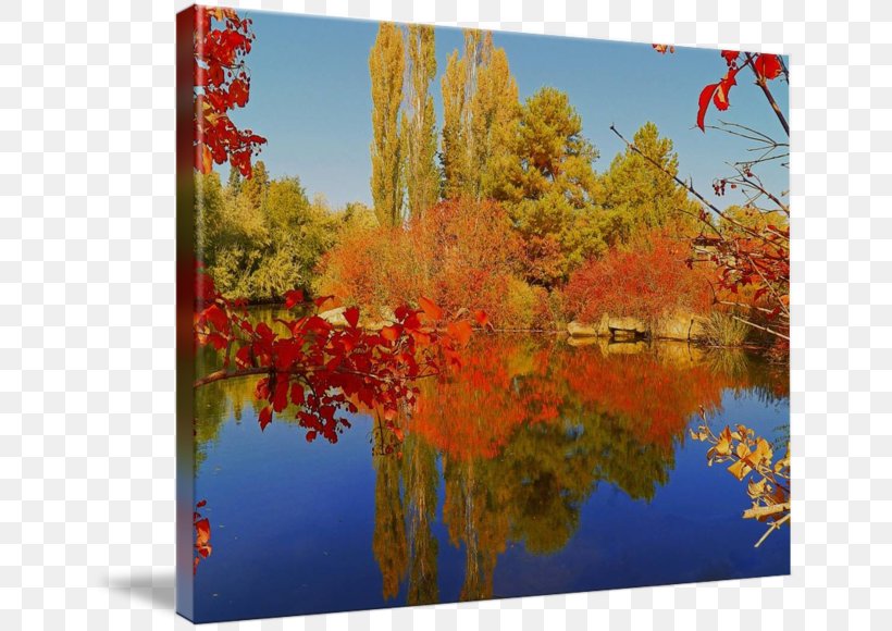 Nature Reserve Maple Leaf Gallery Wrap Photography, PNG, 650x580px, Nature, Acrylic Paint, Autumn, Canvas, Gallery Wrap Download Free
