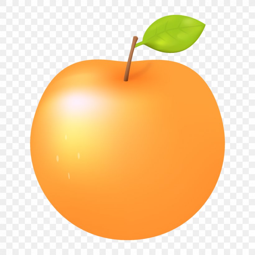 Orange, PNG, 1200x1200px, Orange, Apple, Food, Fruit, Leaf Download Free