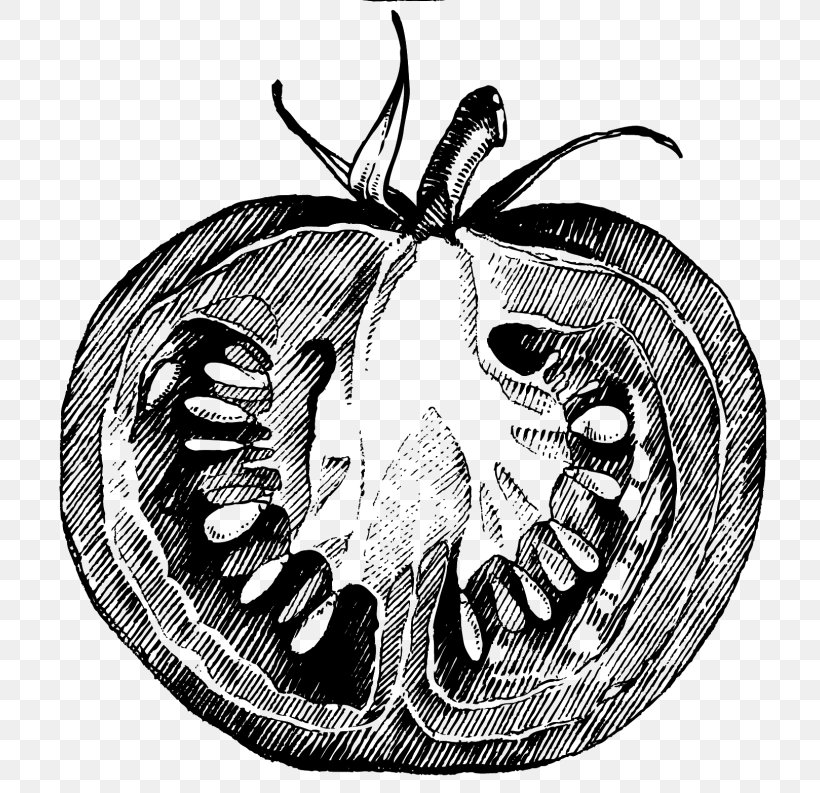 Salsa Drawing Clip Art Pizza Italian Cuisine, PNG, 768x793px, Salsa, Arthropod, Black And White, Butterfly, Cherry Tomato Download Free