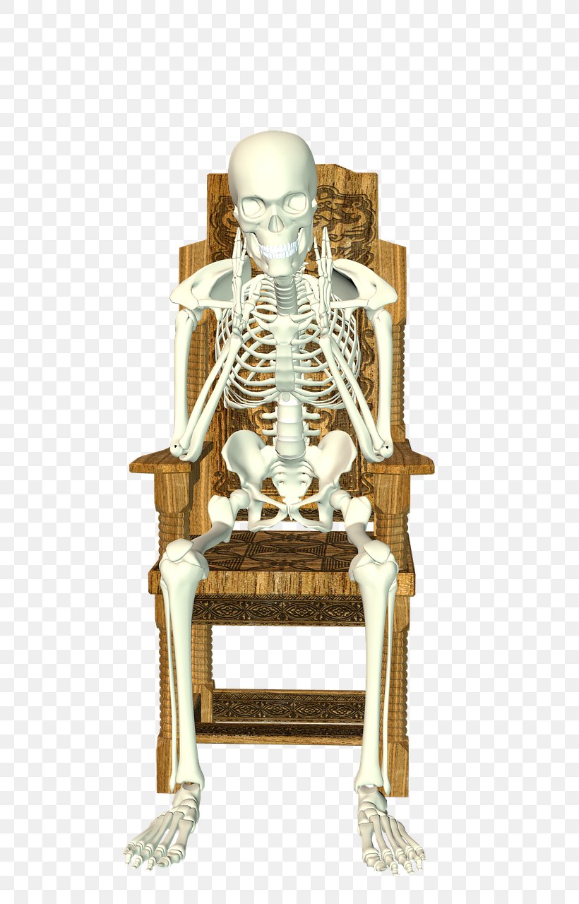 Sitting Bone Human Skeleton Download Chair, PNG, 731x1280px, Sitting, Bone, Chair, Furniture, Gratis Download Free