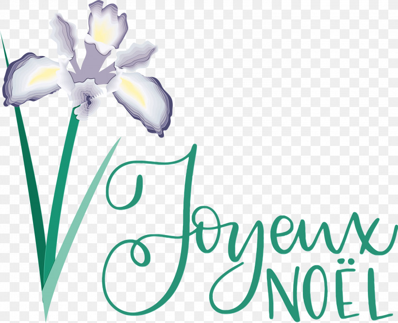 Floral Design, PNG, 3000x2432px, Noel, Christmas, Cut Flowers, Floral Design, Flower Download Free