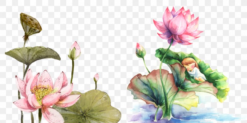 Qiqihar Watercolor Painting Drawing Illustration, PNG, 1000x500px, Qiqihar, Aquatic Plant, Art, Blossom, Chinese Art Download Free