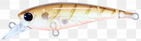 Prawn - Fishing Baits & Lures Plug Spoon Lure PNG