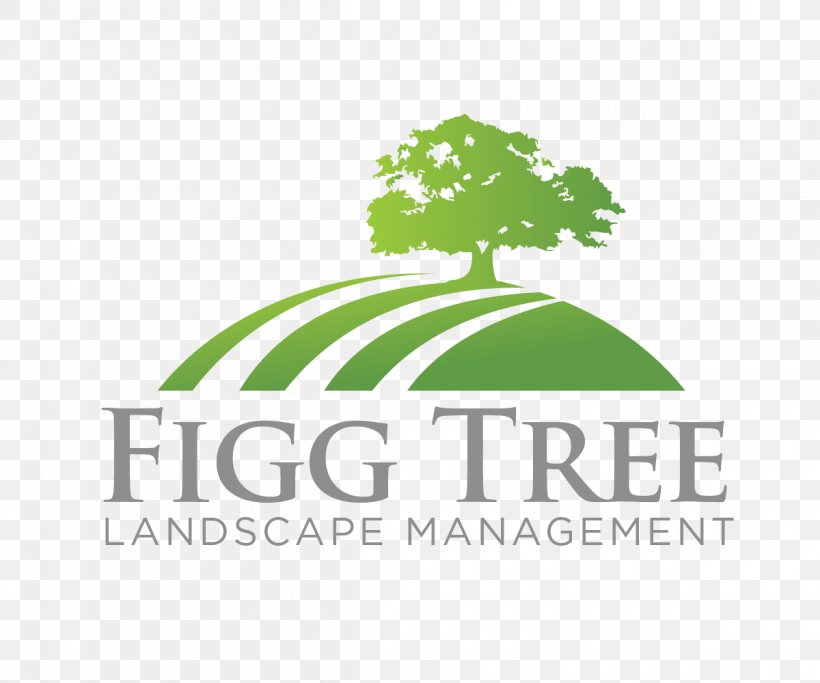 Logo Font Brand Product Tree, PNG, 1200x1000px, Logo, Brand, Diagram, Grass, Green Download Free