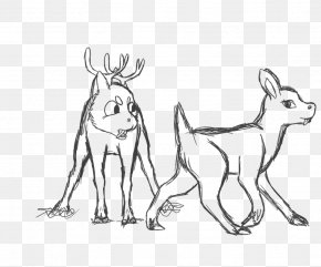 Reindeer - Reindeer Line Art Drawing Sketch PNG