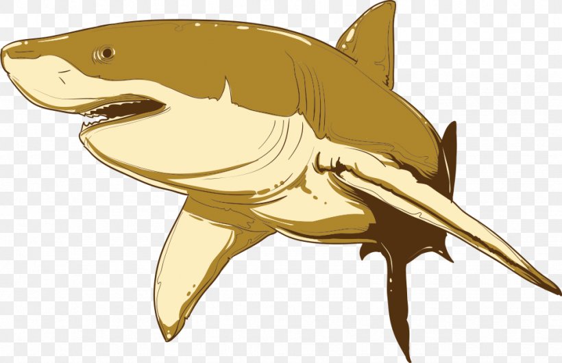 Shark Cartoon Euclidean Vector Illustration, PNG, 976x632px, Shark, Animal, Art, Cartilaginous Fish, Cartoon Download Free