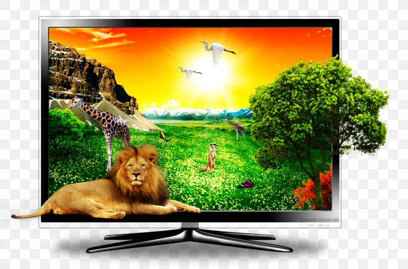 Television Set Computer Monitors Display Device Liquid-crystal Display, PNG, 1600x1054px, 3d Television, Television, Advertising, Computer Monitor, Computer Monitors Download Free