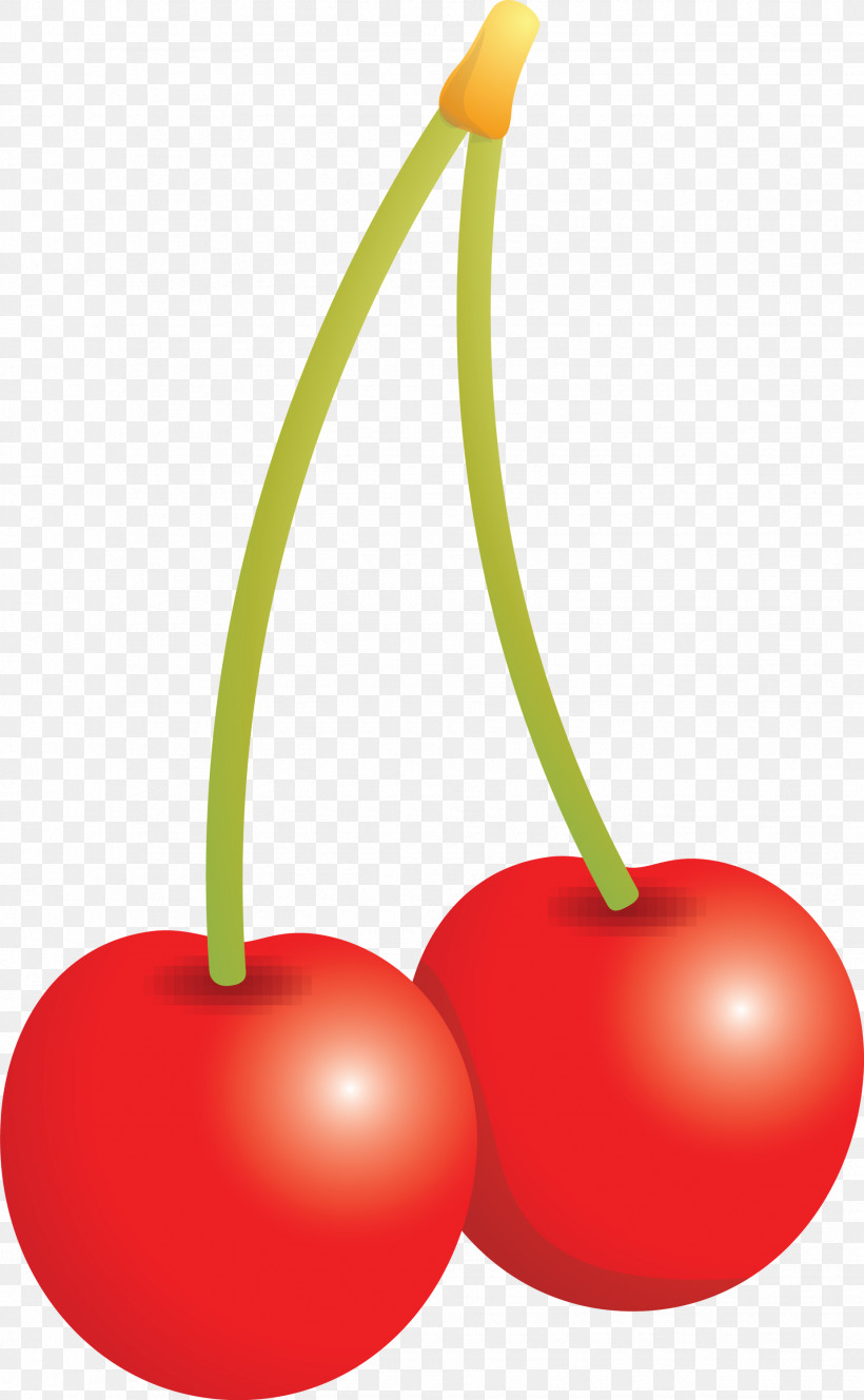 Cherry, PNG, 1850x2999px, Cherry, Drupe, Flower, Food, Fruit Download Free