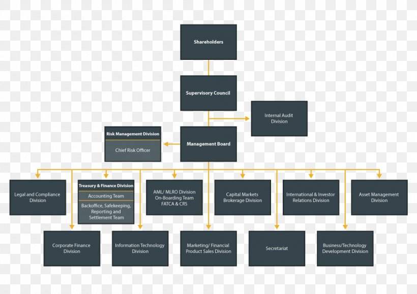 Organizational Structure Organizational Chart Management Company, PNG, 1000x707px, Organizational Structure, Board Of Directors, Brand, Company, Corporate Finance Download Free