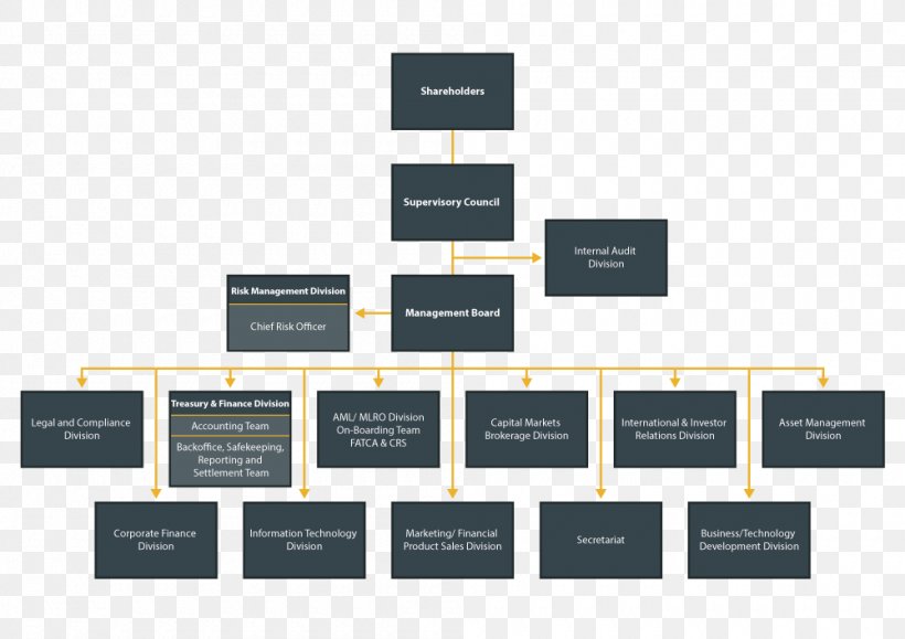 Organizational Structure Organizational Chart Management Company, PNG