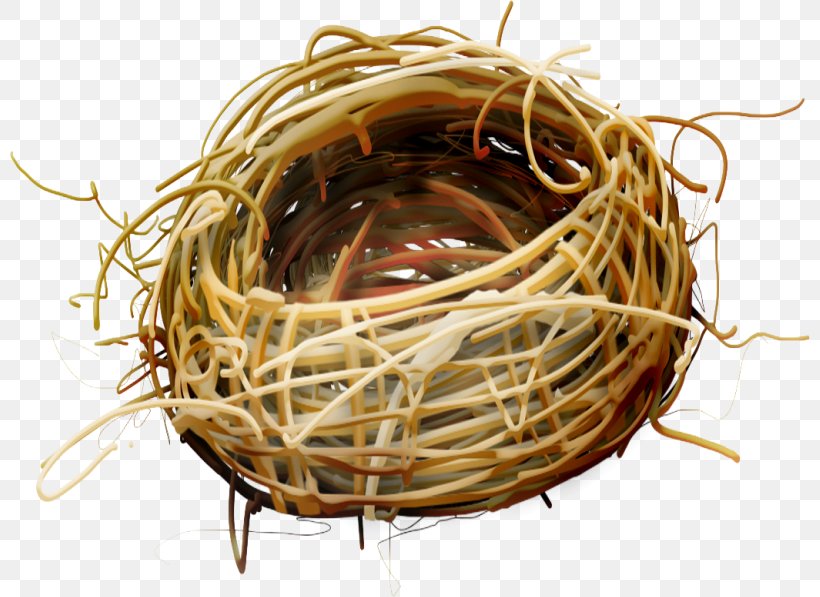 Edible Bird's Nest Bird Nest, PNG, 800x597px, Bird, Basket, Bird Egg, Bird Nest, Drawing Download Free