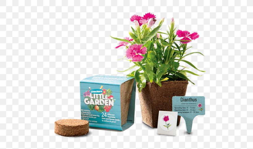 Flowerpot, PNG, 595x483px, Flowerpot, Flower, Plant Download Free