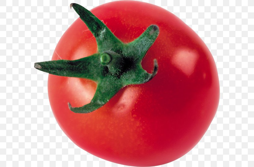 Tomato Soup Italian Tomato Pie Food, PNG, 600x540px, Tomato Soup, Bush Tomato, Cooking, Food, Fruit Download Free