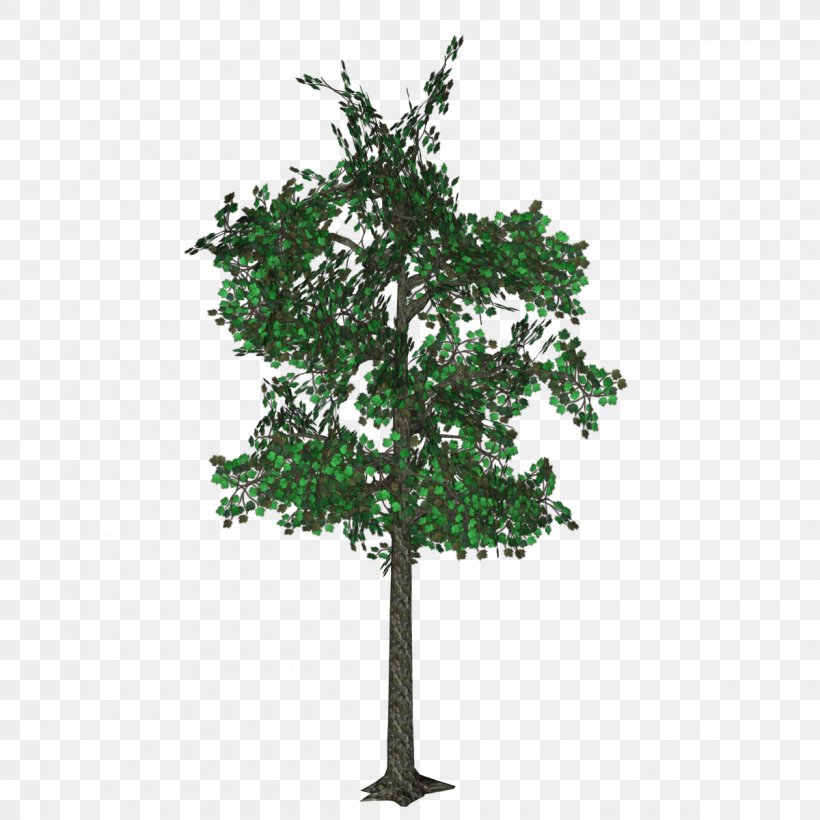 English Oak World Menagerie Artificial Foliage Cotinus Coggyria Tree In Pot Image Quercus Cerris, PNG, 1200x1200px, 3d Computer Graphics, English Oak, Baumschule, Branch, Leaf Download Free