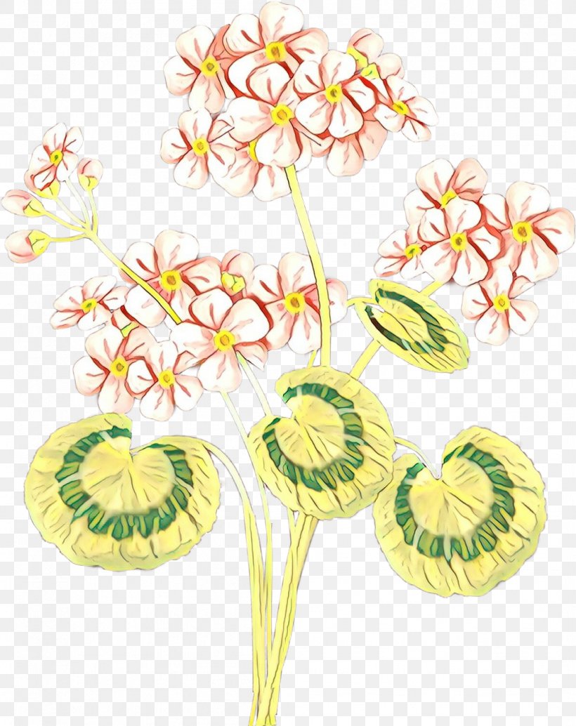 Flower Plant Plant Stem Cut Flowers Anthurium, PNG, 1056x1332px, Cartoon, Anthurium, Cut Flowers, Flower, Pedicel Download Free