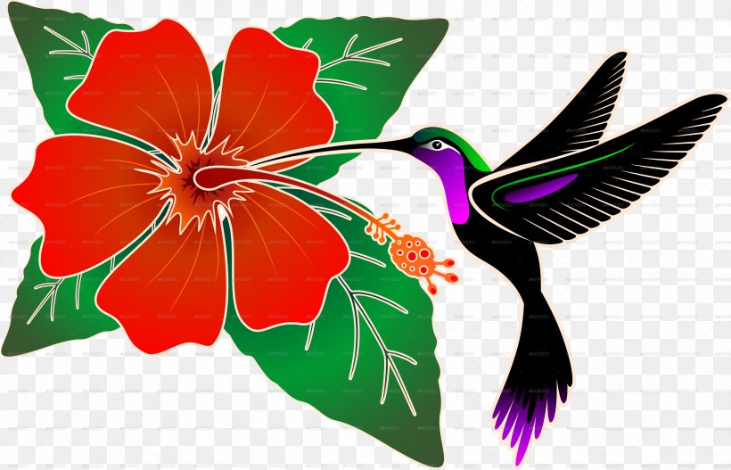 Hummingbird Hibiscus Clip Art, PNG, 3891x2501px, Hummingbird, Algorithm, Animal, Bird, Drawing Download Free