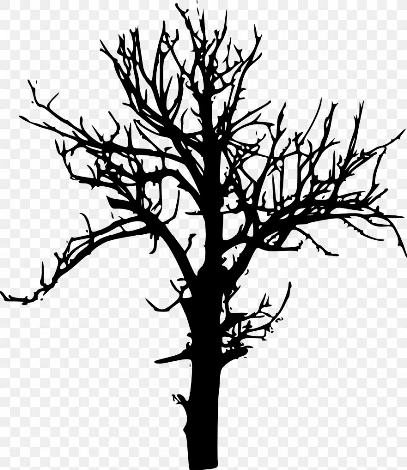 Tree Branch Desktop Wallpaper Drawing, PNG, 887x1024px, Tree, Black And White, Branch, Drawing, Flower Download Free
