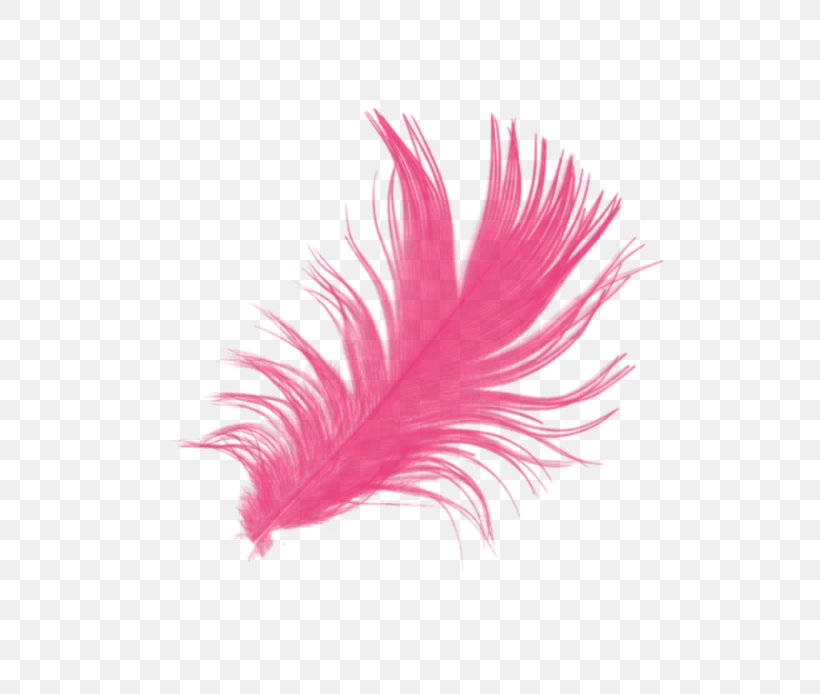Feather Brush, PNG, 600x694px, Feather, Brush, Color, Graphics Software, Magenta Download Free