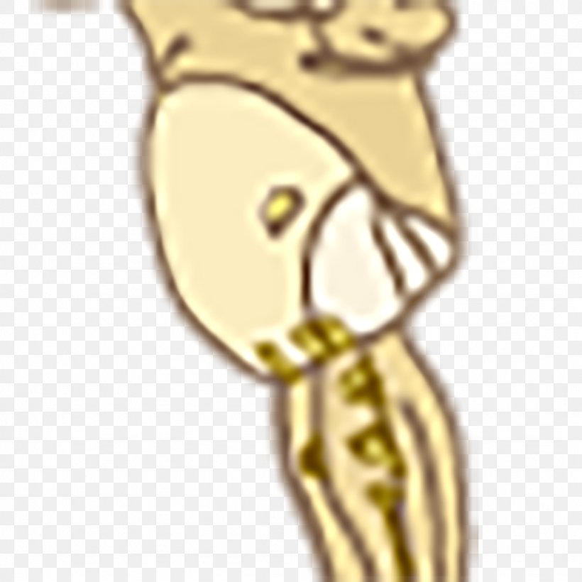 Gold Cartoon Body Jewellery Giraffids, PNG, 1024x1024px, Watercolor, Cartoon, Flower, Frame, Heart Download Free