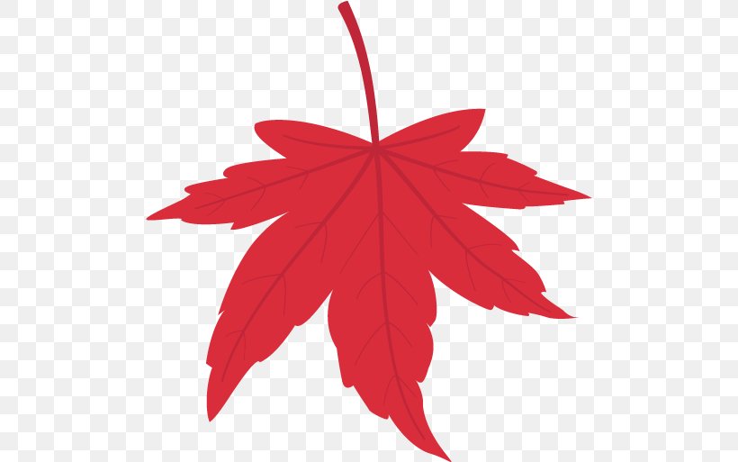 Maple Leaf, PNG, 496x513px, Maple Leaf, Flowering Plant, Leaf, Maple Tree, Plant Download Free