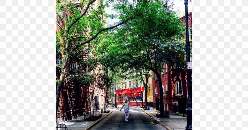 Tree Town, PNG, 1200x630px, Tree, Alley, City, Neighbourhood, Plant Download Free