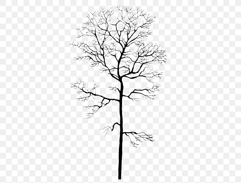Trunk Tree Winter Computer File, PNG, 708x623px, Trunk, Black And White, Branch, Drawing, Flora Download Free