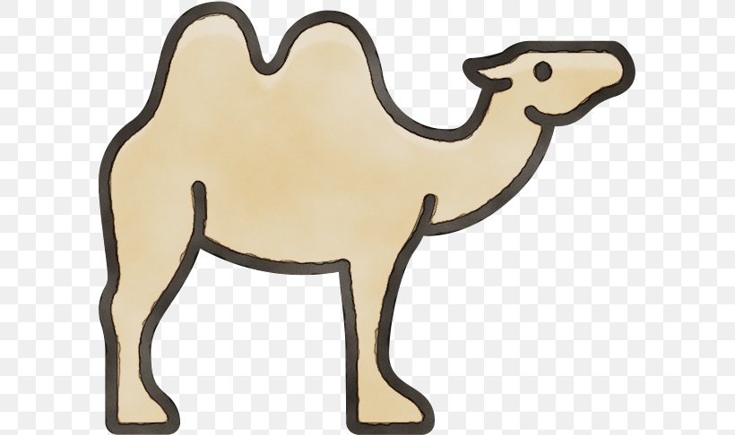 Animal Cartoon, PNG, 601x486px, Dromedary, Animal, Animal Figure, Arabian Camel, Bactrian Camel Download Free
