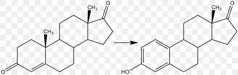 Aromatase Inhibitor Testosterone Estradiol Estrogen, PNG, 1828x580px, Watercolor, Cartoon, Flower, Frame, Heart Download Free