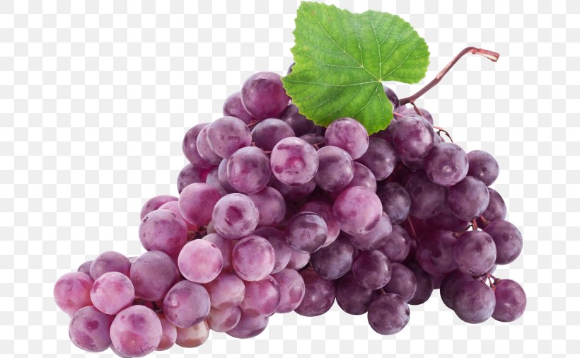 Common Grape Vine Sultana Food Fruit, PNG, 670x506px, Common Grape Vine, Berry, Blueberry, Food, Fruit Download Free