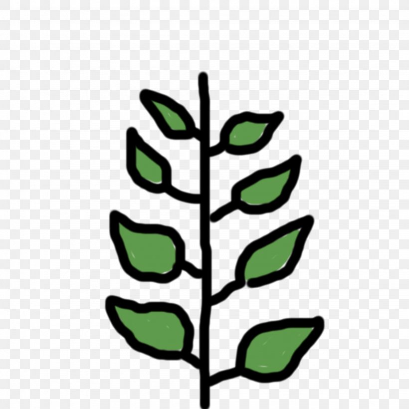 Flowering Plant Plant Stem Leaf Clip Art, PNG, 2048x2048px, Flowering Plant, Artwork, Branch, Branching, Flora Download Free