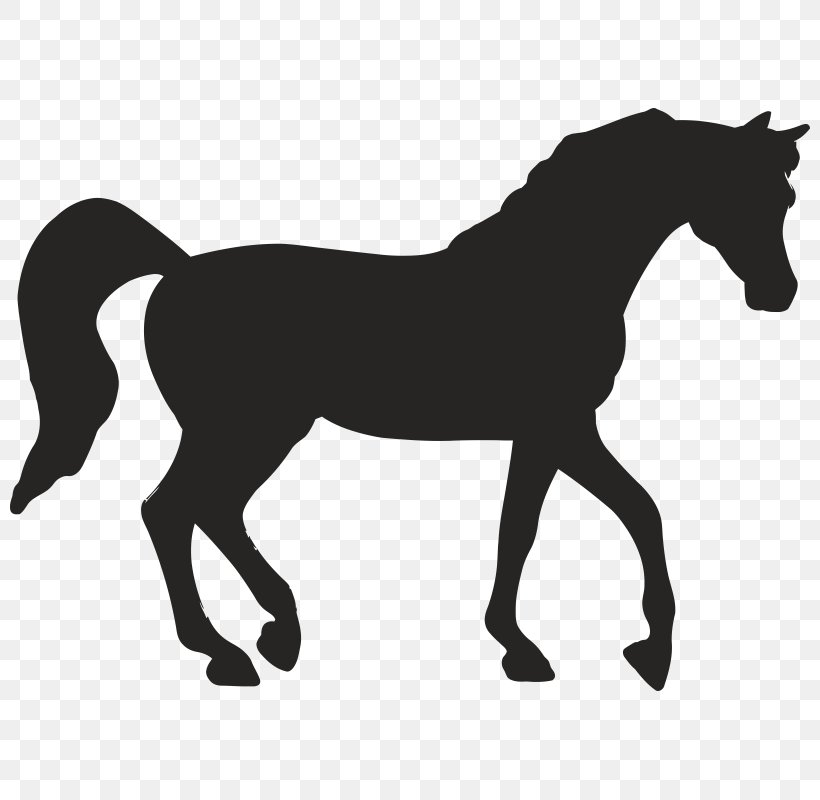 Horse Stencil, PNG, 800x800px, Horse, Animal Figure, Black And White, Bridle, Colt Download Free