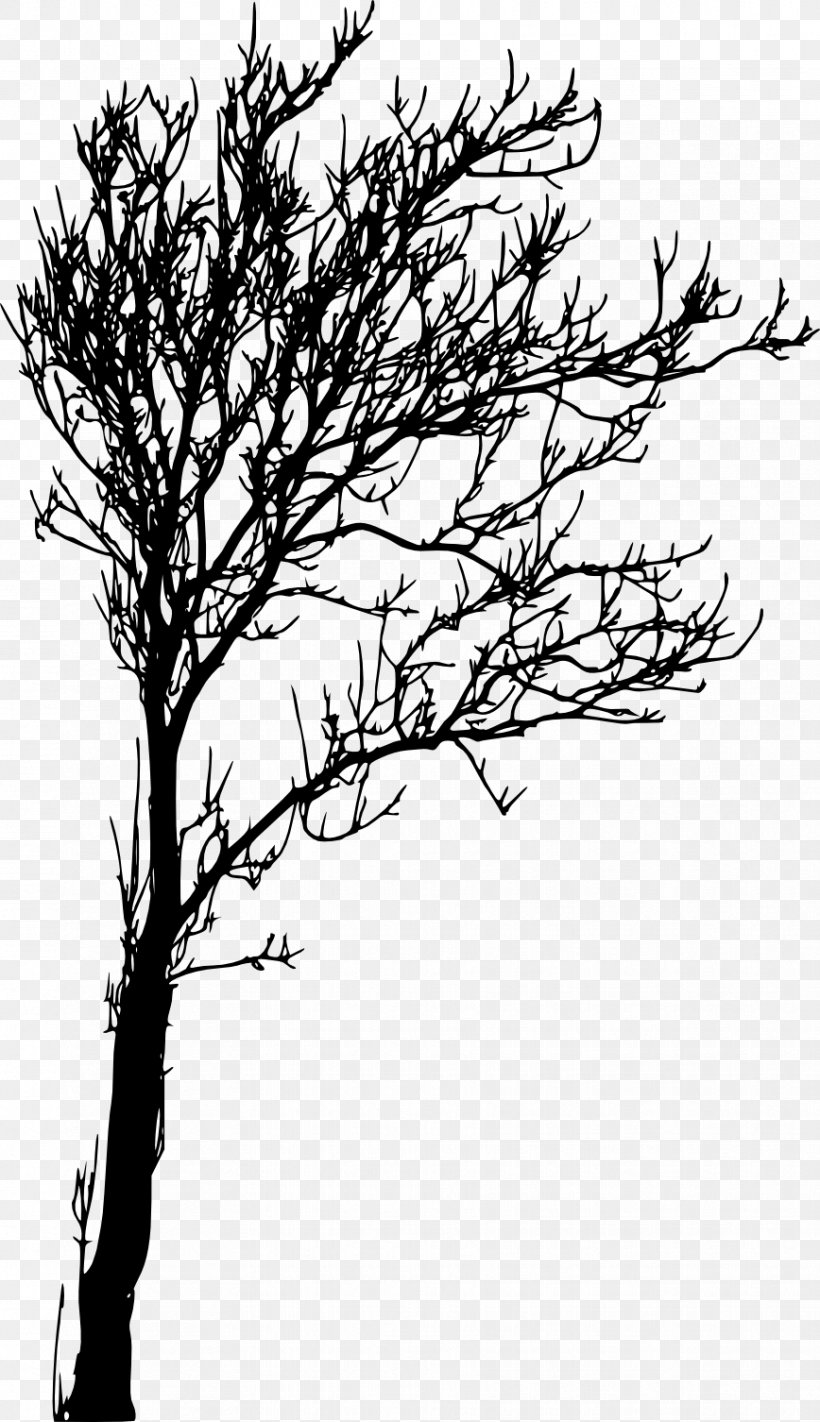 Tree Branch Woody Plant Twig Silhouette, PNG, 868x1506px, Tree, Black And White, Branch, Drawing, Flower Download Free