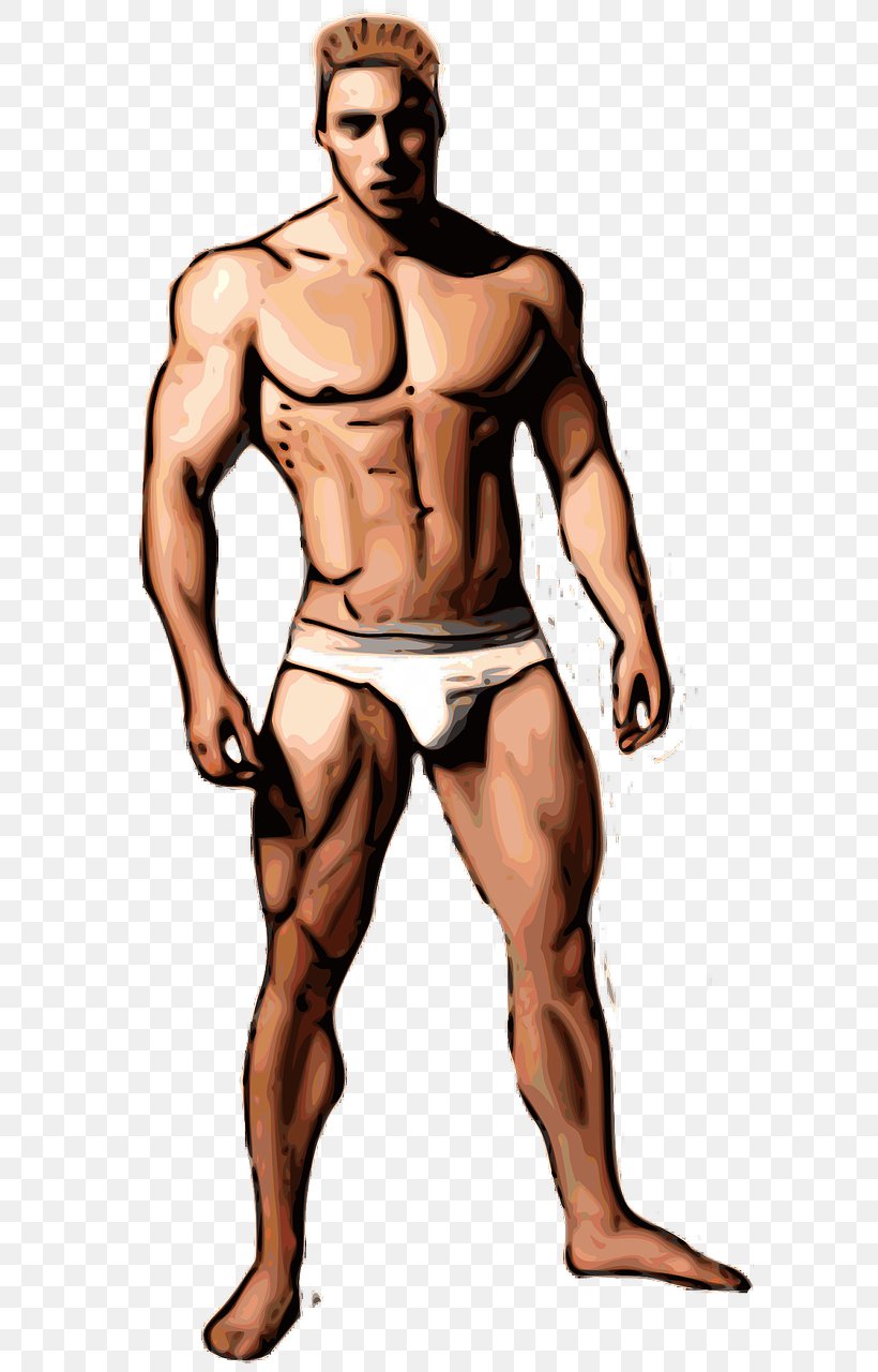 Arnold Schwarzenegger Bodybuilding Muscle Biceps Clip Art, PNG, 640x1280px, Watercolor, Cartoon, Flower, Frame, Heart Download Free