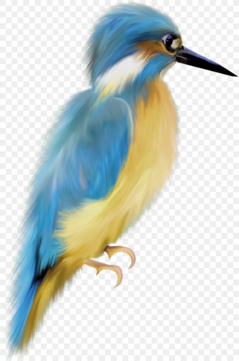 Bird European Robin Watercolor Painting Art, PNG, 1462x2212px, Bird, American Robin, Animal, Art, Artist Download Free