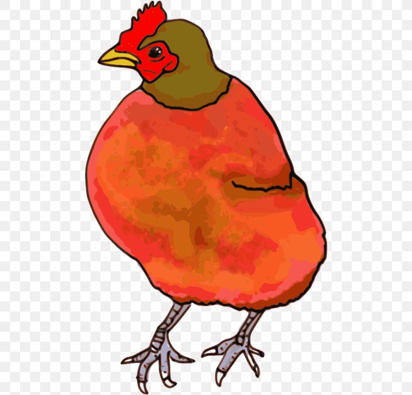 Chicken Clip Art, PNG, 484x786px, Chicken, Artwork, Beak, Bird, Clipgrab Download Free