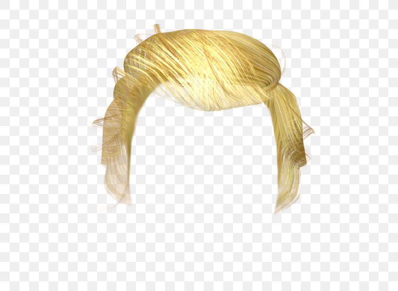 Hair Wig, PNG, 600x600px, 3d Computer Graphics, Hair, Animation, Blond, Donald Trump Download Free