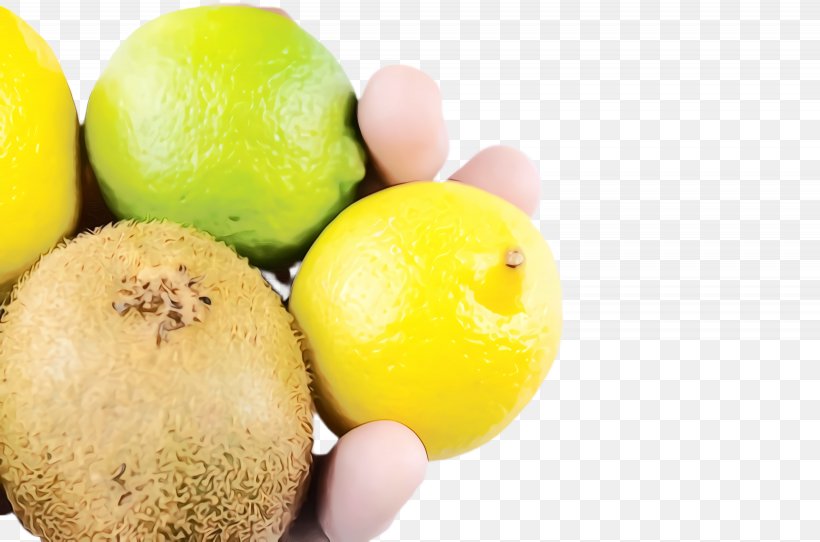 Honey Lemon, PNG, 2460x1628px, Watercolor, Camera, Closeup, Food, Fruit Download Free