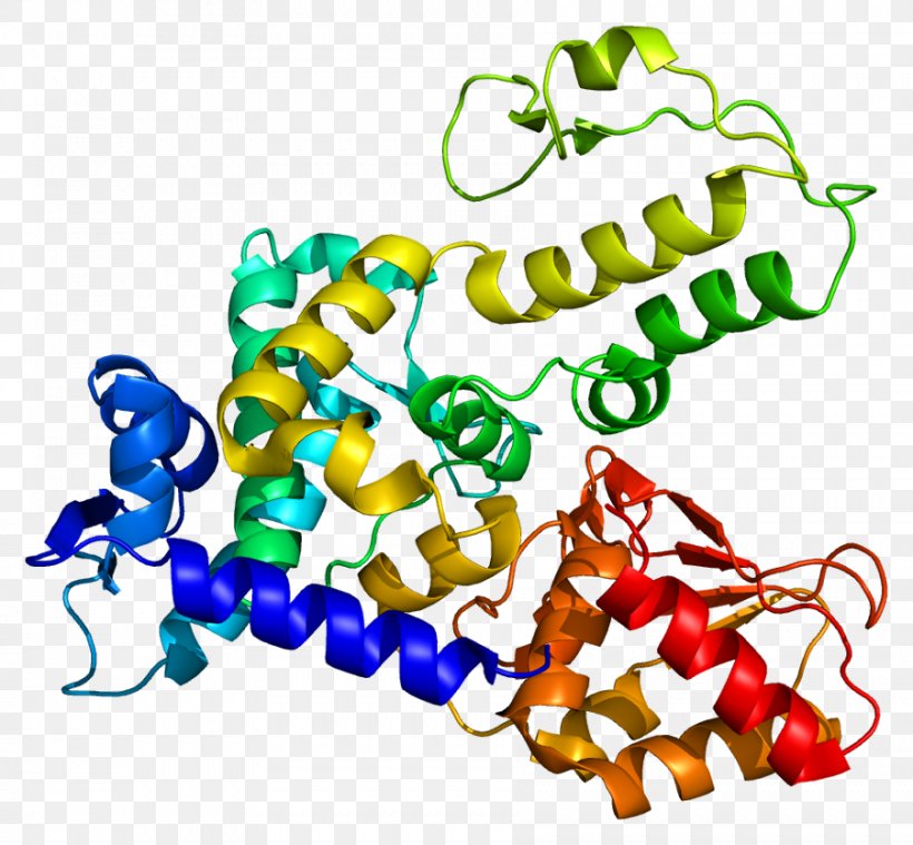WWP1 NEDD4 Ubiquitin Ligase Protein Clip Art, PNG, 902x835px, Watercolor, Cartoon, Flower, Frame, Heart Download Free